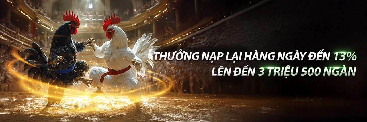 Sân đấu đá gà trực tuyến sôi động tại 188cm game